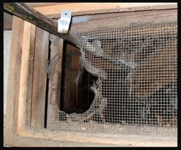 Foundation vent repair in Bloomington